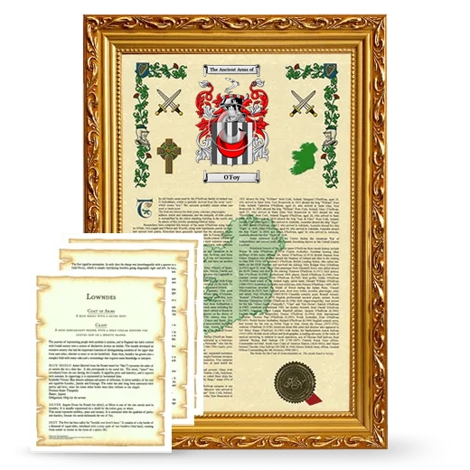 O'Foy Framed Armorial History and Symbolism - Gold