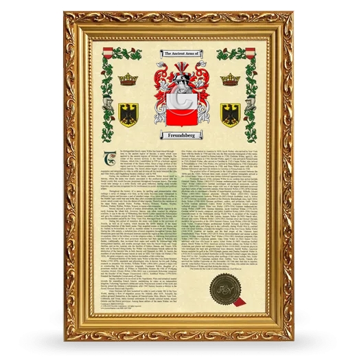 Freundsberg Armorial History Framed - Gold