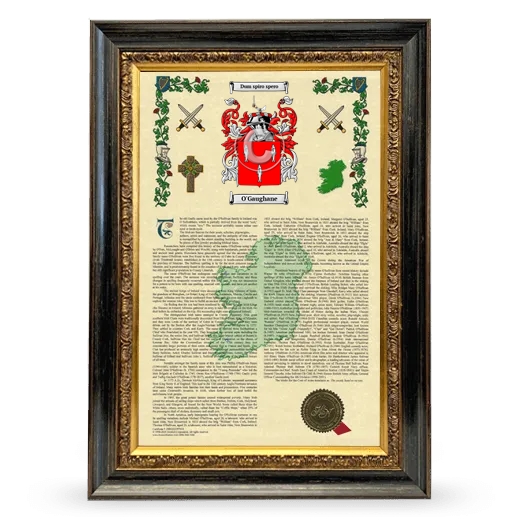 O'Gaughane Armorial History Framed - Heirloom