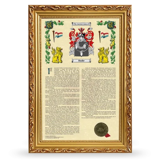 Haake Armorial History Framed - Gold