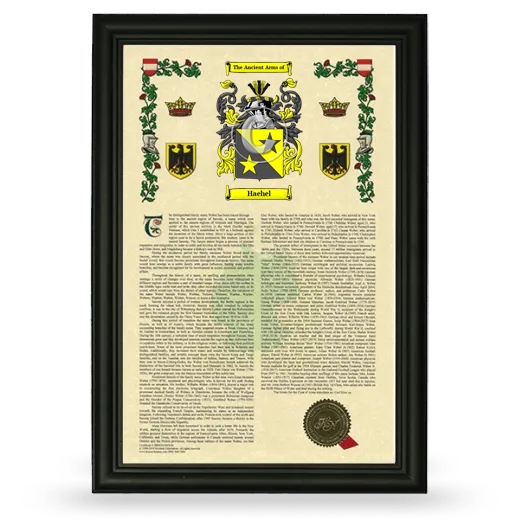 Haehel Armorial History Framed - Black