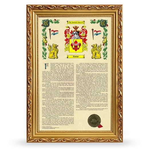 Hoene Armorial History Framed - Gold