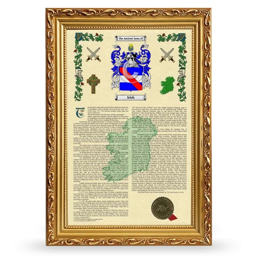 Irish Armorial History Framed - Gold