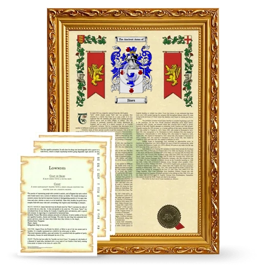 Jines Framed Armorial History and Symbolism - Gold