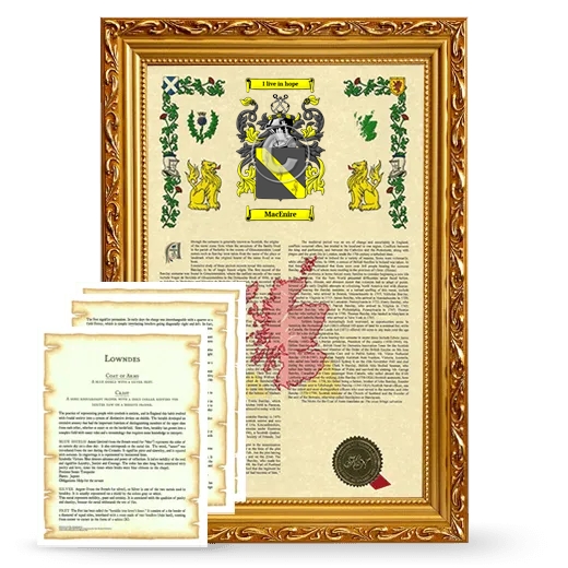 MacEnire Framed Armorial History and Symbolism - Gold