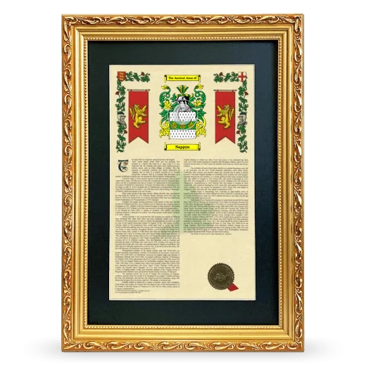 Nappyn Deluxe Armorial Framed - Gold