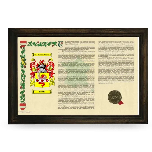 Briard Armorial Landscape Framed - Brown