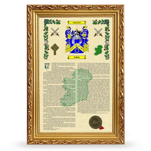 Ackize Armorial History Framed - Gold