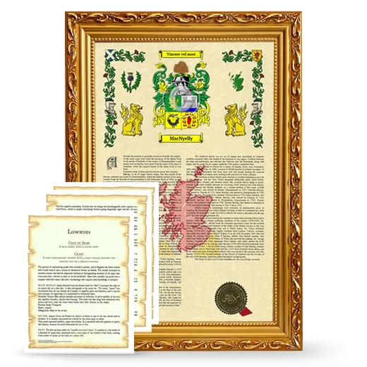 MacNyelly Framed Armorial History and Symbolism - Gold