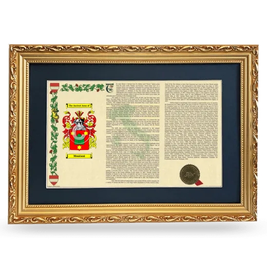 Montani Deluxe Armorial Landscape Framed - Gold