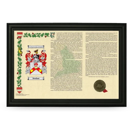 Newlant Armorial Landscape Framed - Black