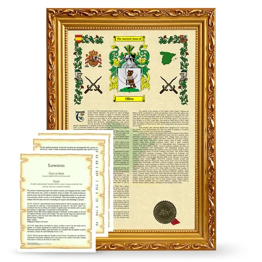 Olivo Framed Armorial History and Symbolism - Gold
