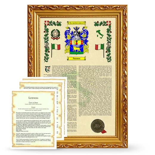 Passaro Framed Armorial History and Symbolism - Gold