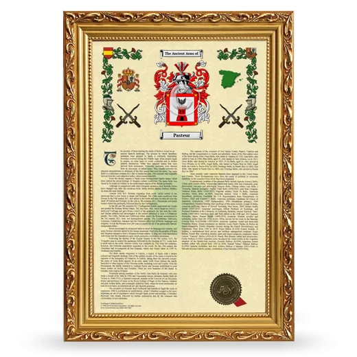 Pasteur Armorial History Framed - Gold