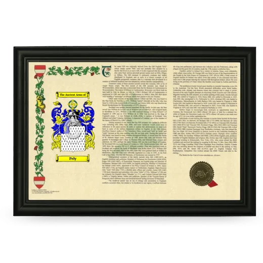 Pely Armorial Landscape Framed - Black