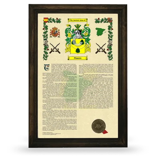 Pinares Armorial History Framed - Brown