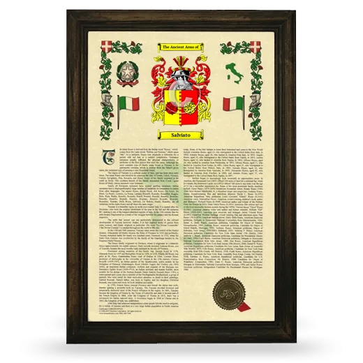 Salviato Armorial History Framed - Brown
