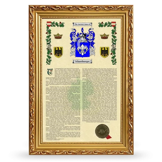 Schneebuerger Armorial History Framed - Gold
