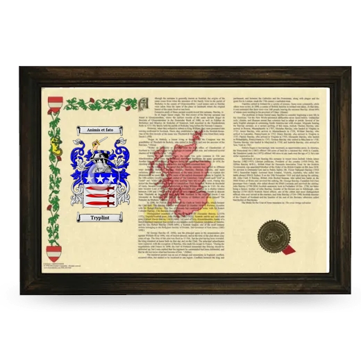 Tryplint Armorial Landscape Framed - Brown