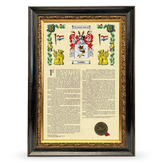 Teublitz Armorial History Framed - Heirloom