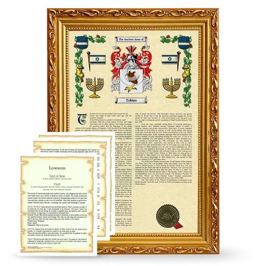 Tobias Framed Armorial History and Symbolism - Gold