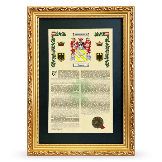 Tomaso Deluxe Armorial Framed - Gold