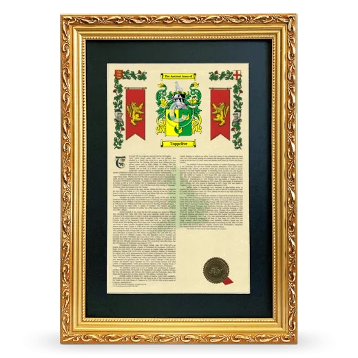 Toppclive Deluxe Armorial Framed - Gold