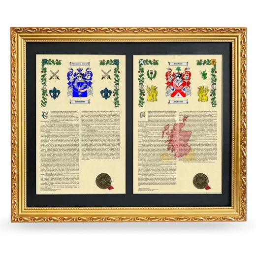 Double Armorial History Framed - Gold