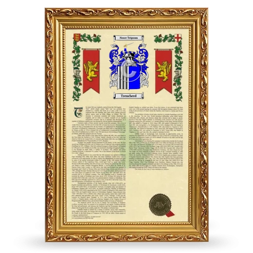 Trencherd Armorial History Framed - Gold