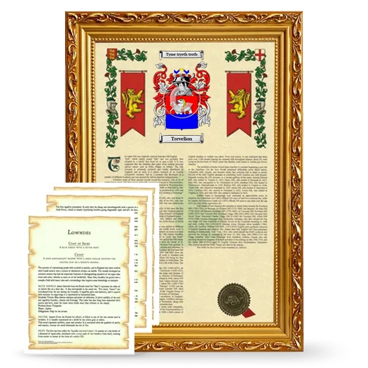 Trevelion Framed Armorial History and Symbolism - Gold