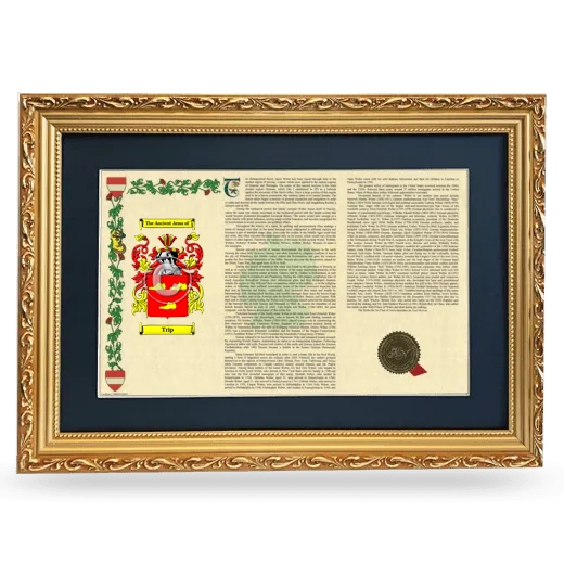 Trip Deluxe Armorial Landscape Framed - Gold