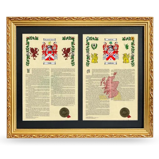 Double Armorial History Framed - Gold