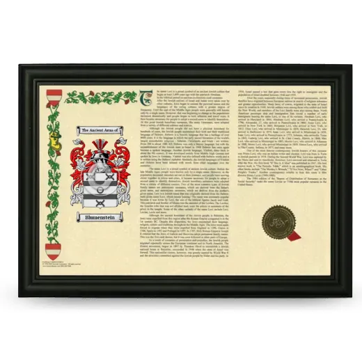 Blumenstein Armorial Landscape Framed - Black