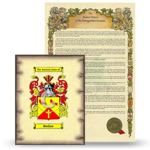 Bashor Coat of Arms and Surname History Package