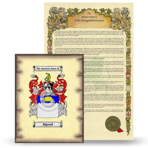 Bigood Coat of Arms and Surname History Package
