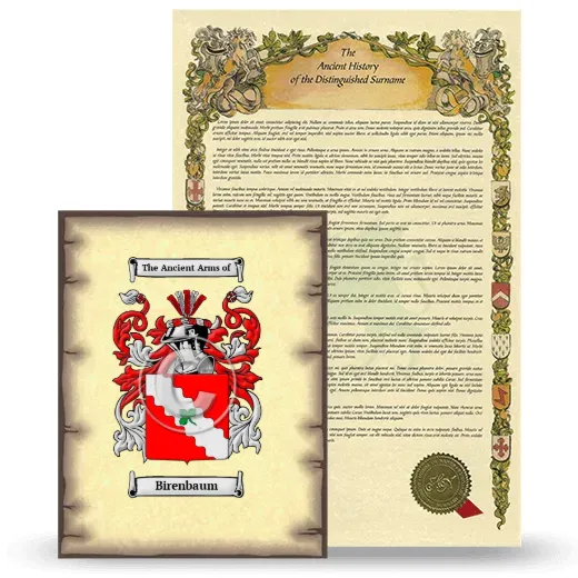 Birenbaum Coat of Arms and Surname History Package