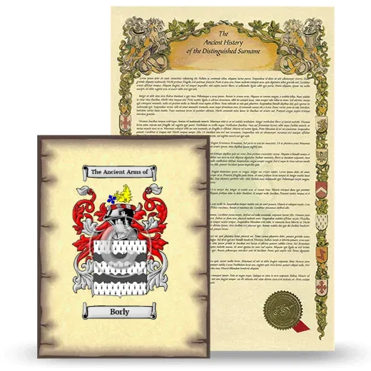 Borly Coat of Arms and Surname History Package