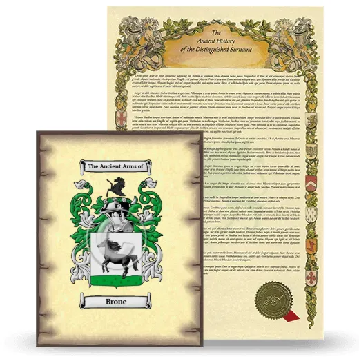 Brone Coat of Arms and Surname History Package