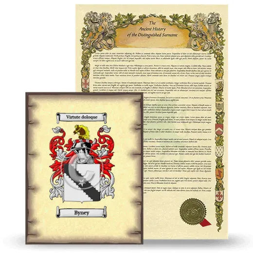 Byney Coat of Arms and Surname History Package