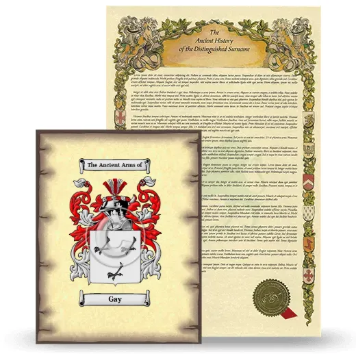 Gay Coat of Arms and Surname History Package