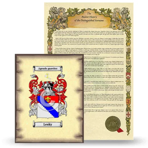 Leaky Coat of Arms and Surname History Package
