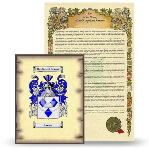 Looie Coat of Arms and Surname History Package