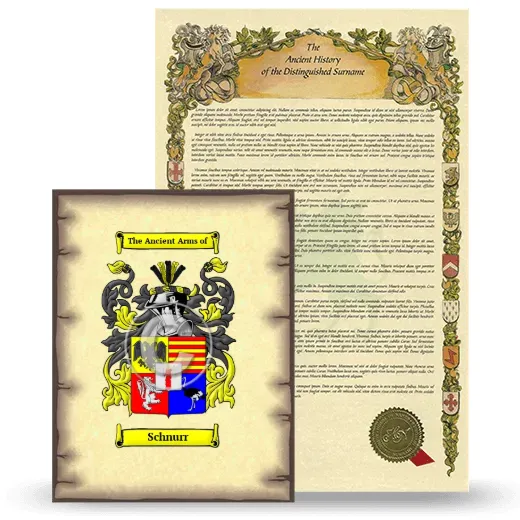 Schnurr Coat of Arms and Surname History Package