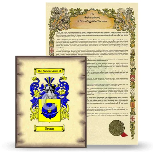 Sesna Coat of Arms and Surname History Package