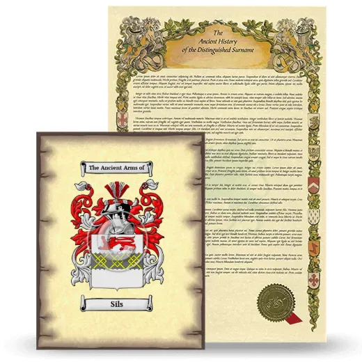Sils Coat of Arms and Surname History Package