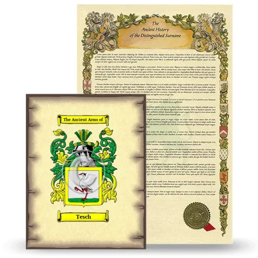 Tesch Coat of Arms and Surname History Package