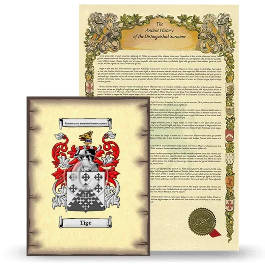 Tige Coat of Arms and Surname History Package