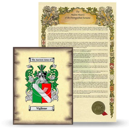 Viglione Coat of Arms and Surname History Package