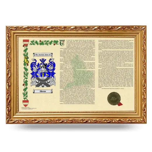 Bleeze Armorial Landscape Framed - Gold
