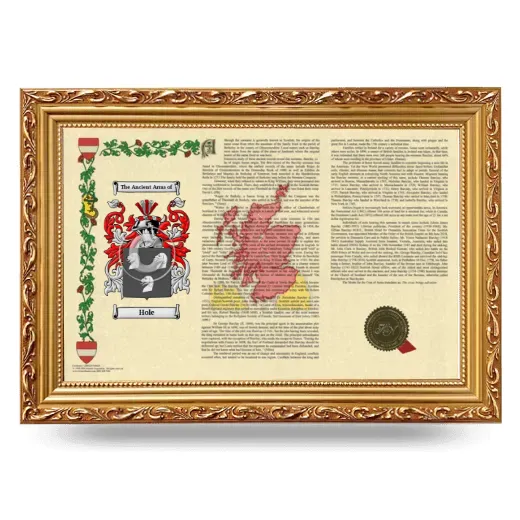 Hole Armorial Landscape Framed - Gold